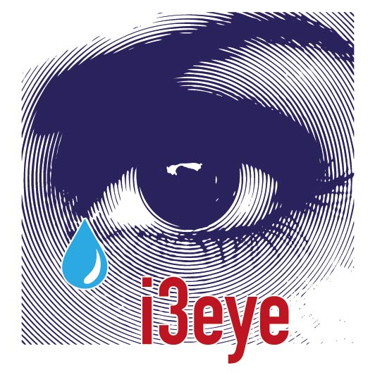 MS Logo i3eye